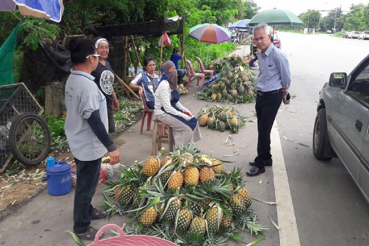 ผู้ว่าฯลำปางสั่งทุกอำเภอรับซื้อสับปะรดล้นตลาด ผู้ว่าฯลำปางสั่งทุกอำเภอรับซื้อสับปะรดล้นตลาด