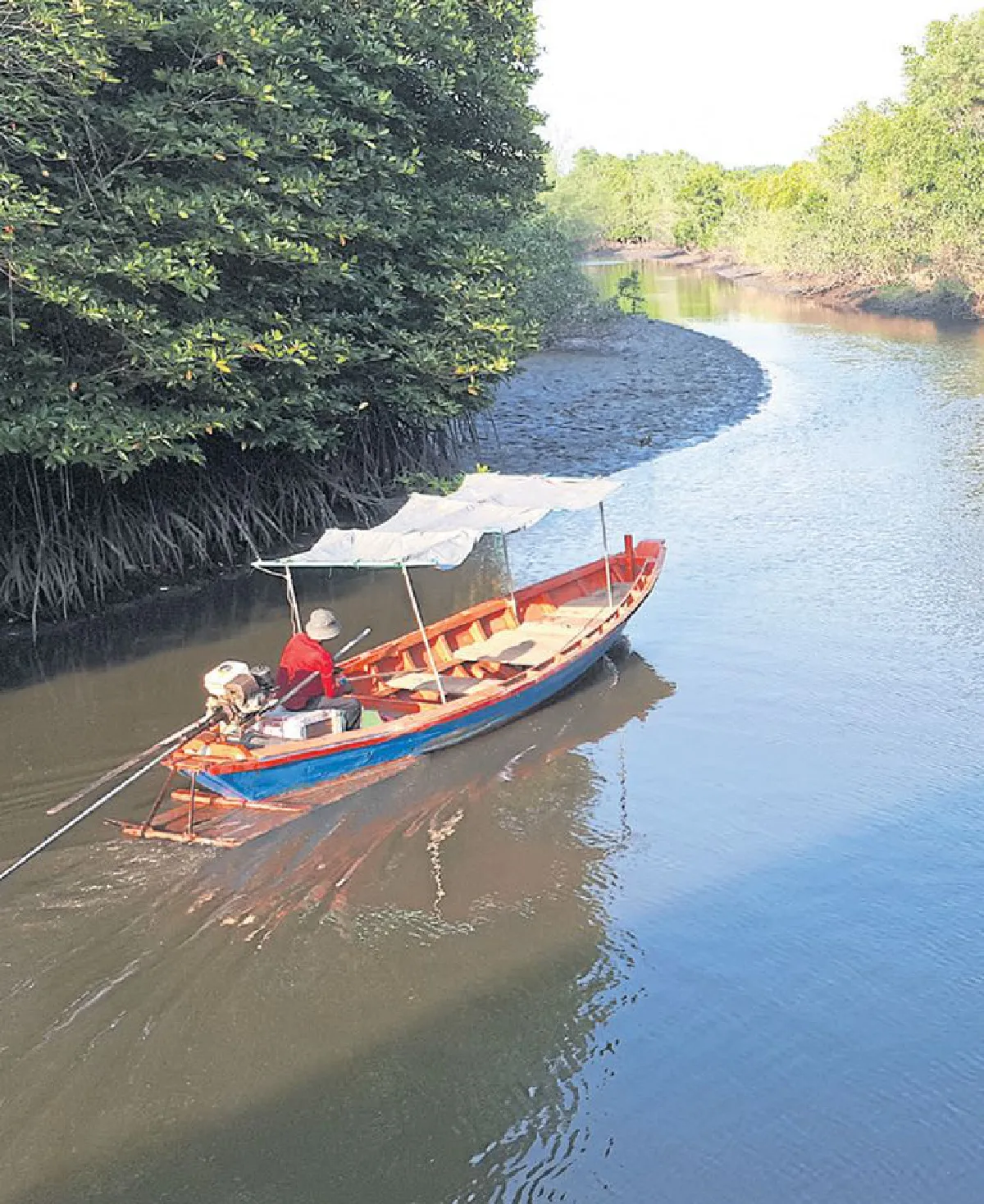 ไป ระยอง เดินชมทุ่งโปรงทอง