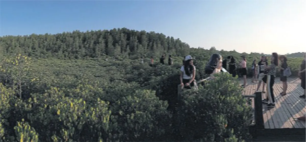 ไป ระยอง เดินชมทุ่งโปรงทอง