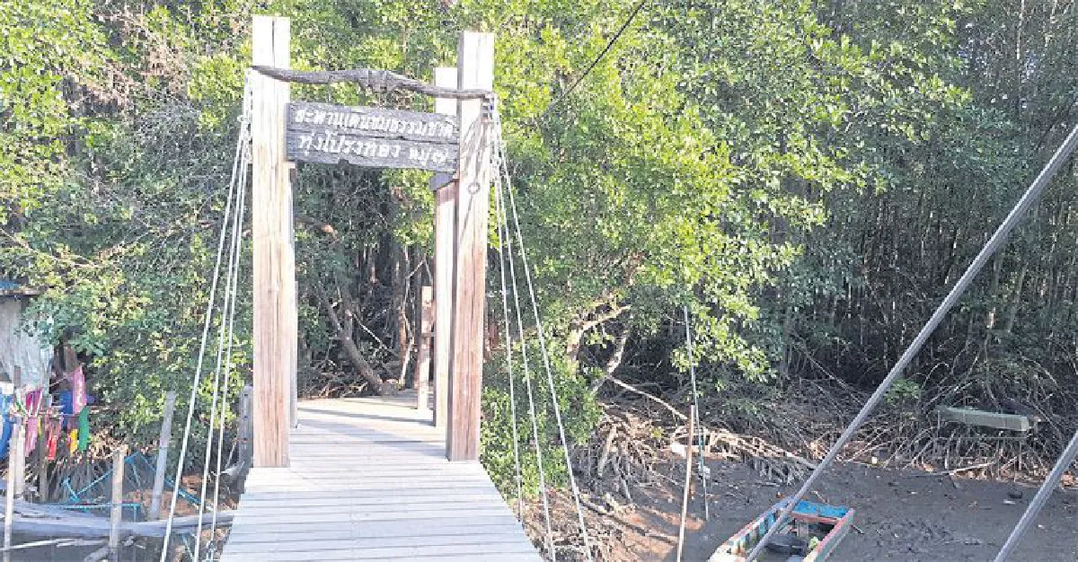 ไป ระยอง เดินชมทุ่งโปรงทอง