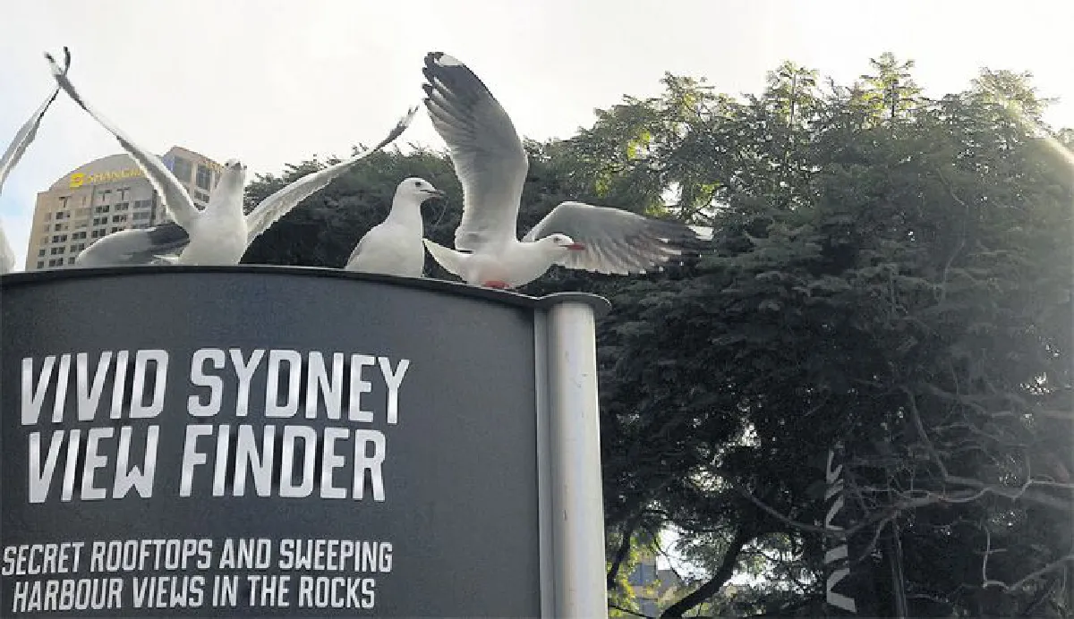 ซิดนีย์ เมืองนี้ไม่ได้มีดีแค่โอเปร่าเฮ้าส์