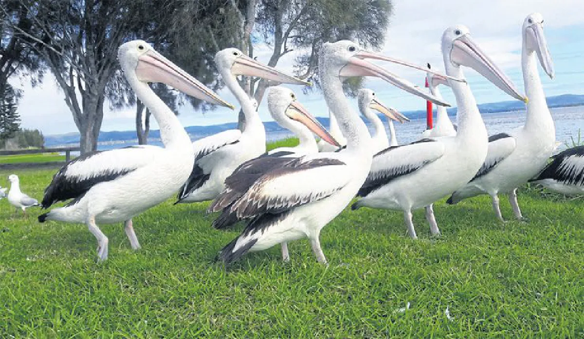 ซิดนีย์ เมืองนี้ไม่ได้มีดีแค่โอเปร่าเฮ้าส์