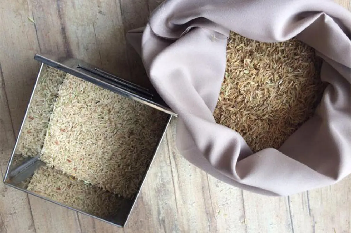 1.0 + 4.0 สมการใหม่ เกษตรกร + ธุรกิจเพื่อสังคม