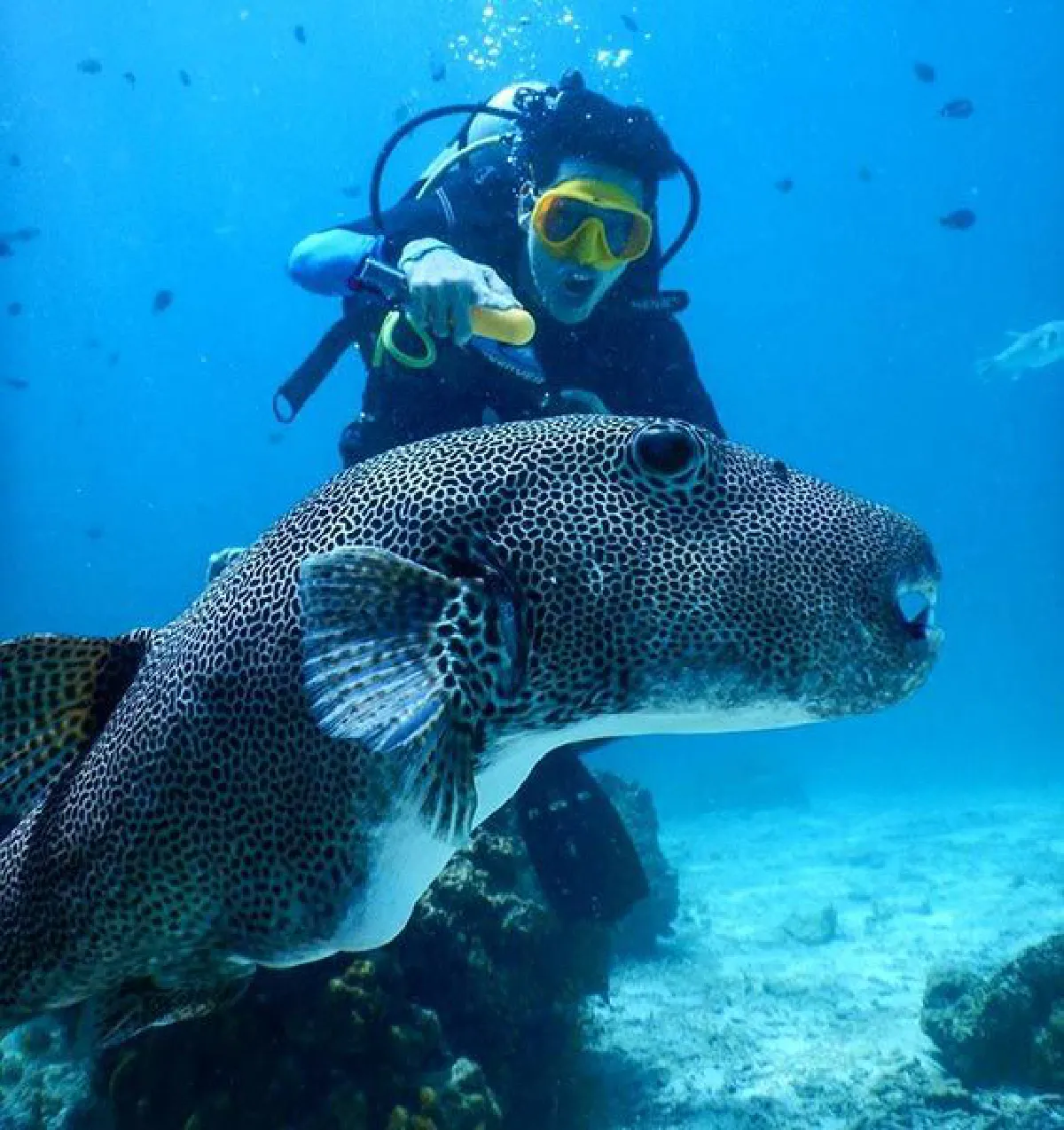 เห็นแล้วใจสั่น! ป้อง ณวัฒน์ ถอดเสื้ออวดหุ่นล่ำริมทะเลภูเก็ต