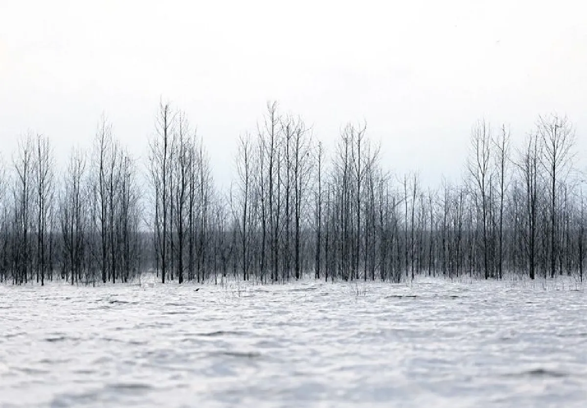 ทับลาน ประทับใจ