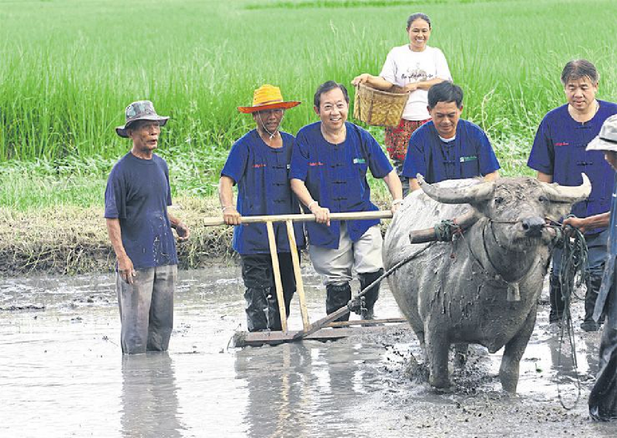 การศึกษา-สุขภาพ โอกาสลงทุนทางสังคม การศึกษา-สุขภาพ โอกาสลงทุนทางสังคม