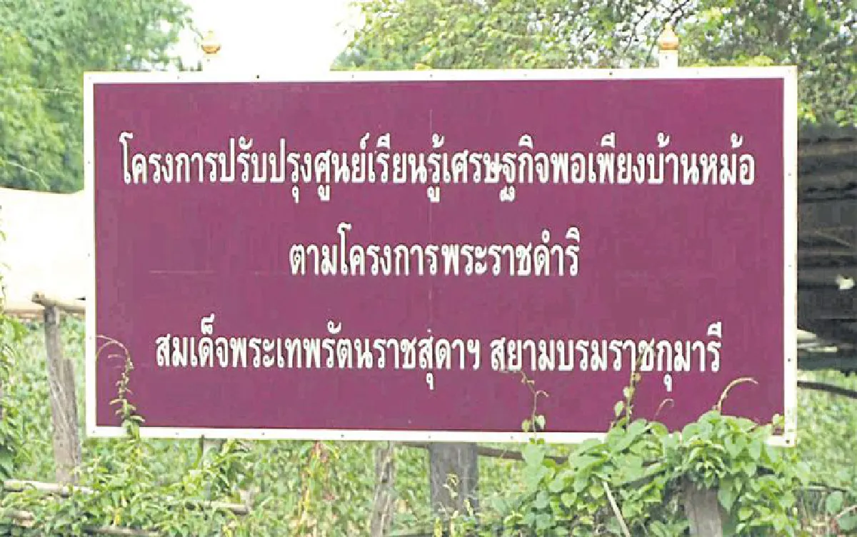 เปลี่ยนนาข้าวปลูกดอกขจร พลิกนา 6 ไร่ให้ได้เงินล้าน