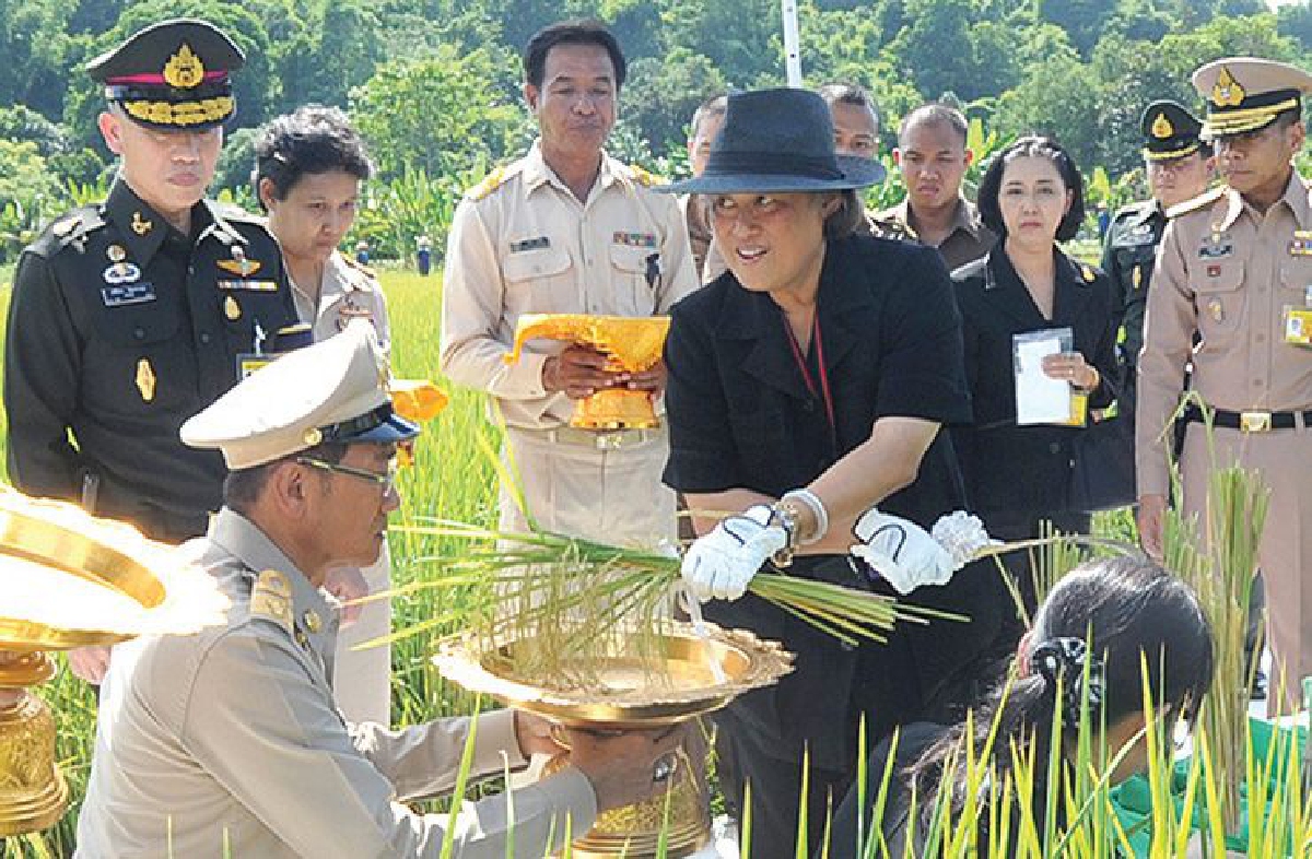 เทพรัตนแห่งแผ่นดิน (105) เทพรัตนแห่งแผ่นดิน (105)