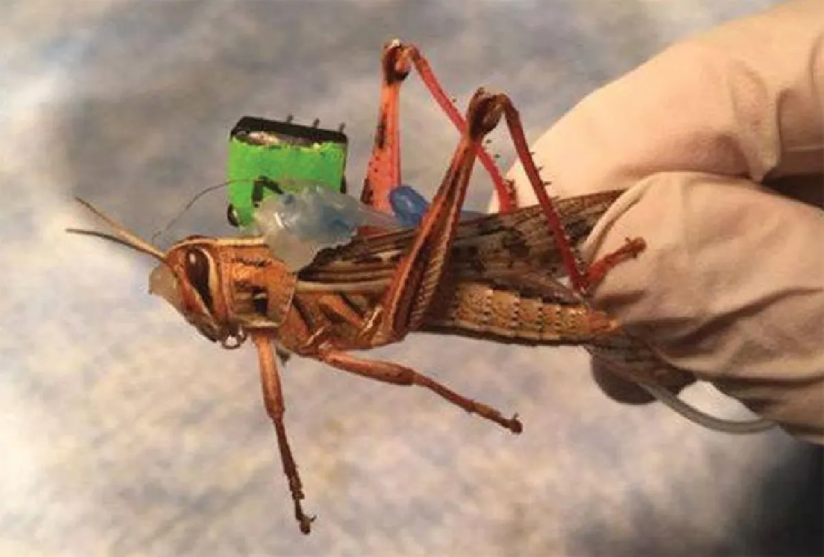 แปลงร่างหุ่นยนต์ เป็นจักรกล มีชีวิต