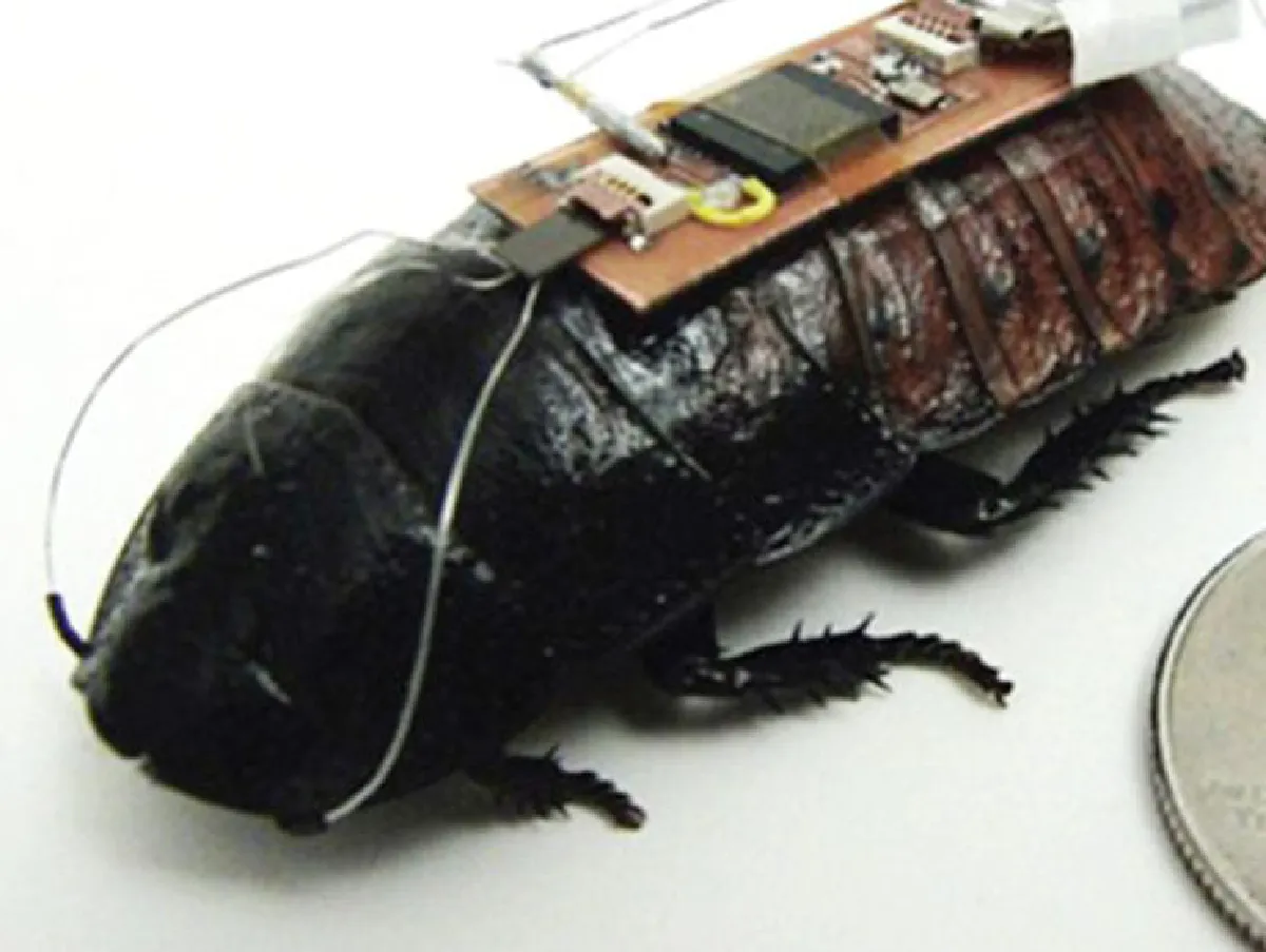 แปลงร่างหุ่นยนต์ เป็นจักรกล มีชีวิต