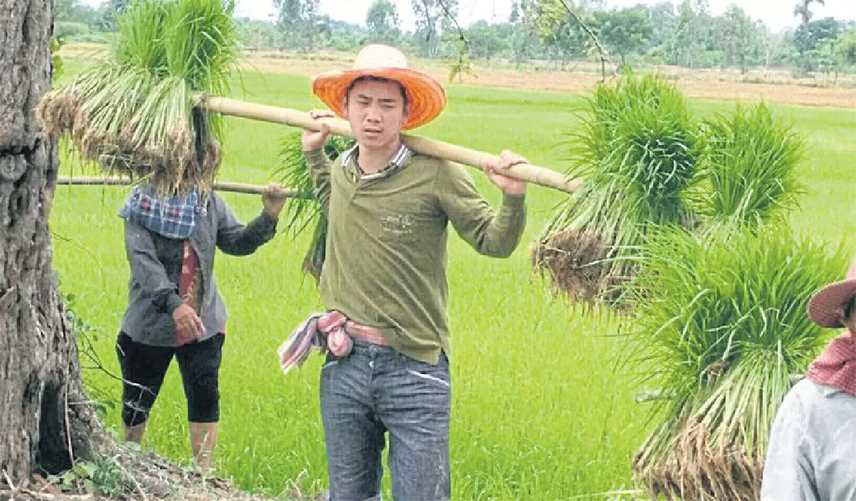 ชีวิตติดท้องนาของ... เบิ้ล ปทุมราช