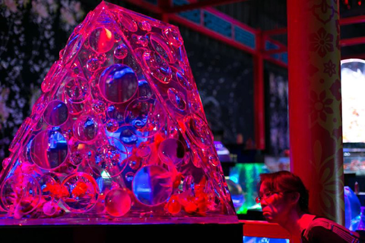 Thousands of goldfish bring Tokyo art exhibit to life
