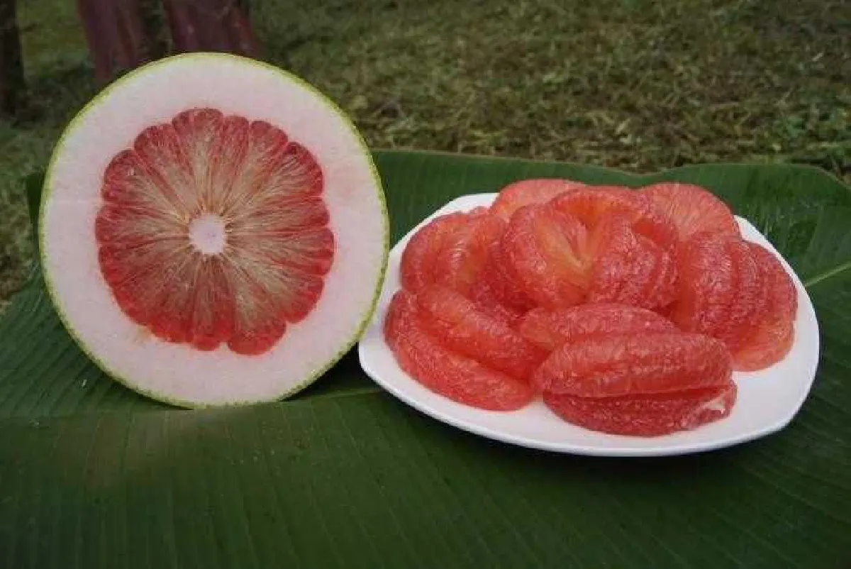 พาณิชย์ขึ้นทะเบียนสินค้า "จีไอ" เพิ่ม 3 รายการ
