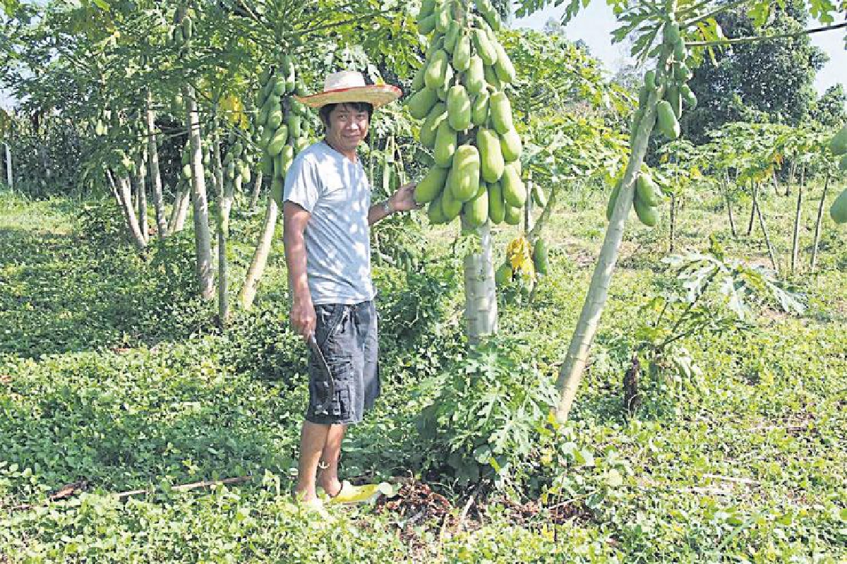 อภิชาติ สัคคมรรคกุล ธรรมชาติช่วยเติมเต็มให้สุขใจ อภิชาติ สัคคมรรคกุล ธรรมชาติช่วยเติมเต็มให้สุขใจ