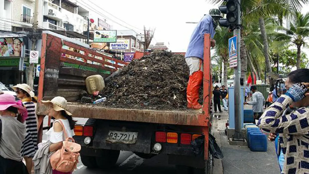 กรมส่งเสริมการปกครองท้องถิ่นแจงปัญหาขยะทะเลพัทยา