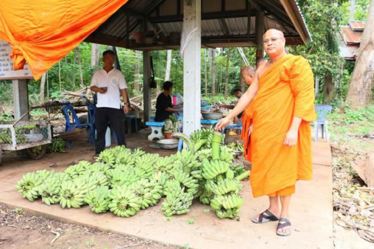 ‘คุณพระช่วยกล้วยทอด’ ของแท้ แห่งเดียวที่พิจิตร ‘คุณพระช่วยกล้วยทอด’ ของแท้ แห่งเดียวที่พิจิตร