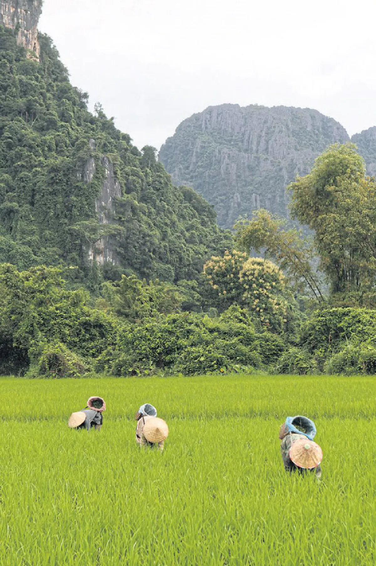 จากหลวงพระบางสู่วังเวียง สัมผัสความงามของกุ้ยหลินเมืองลาว
