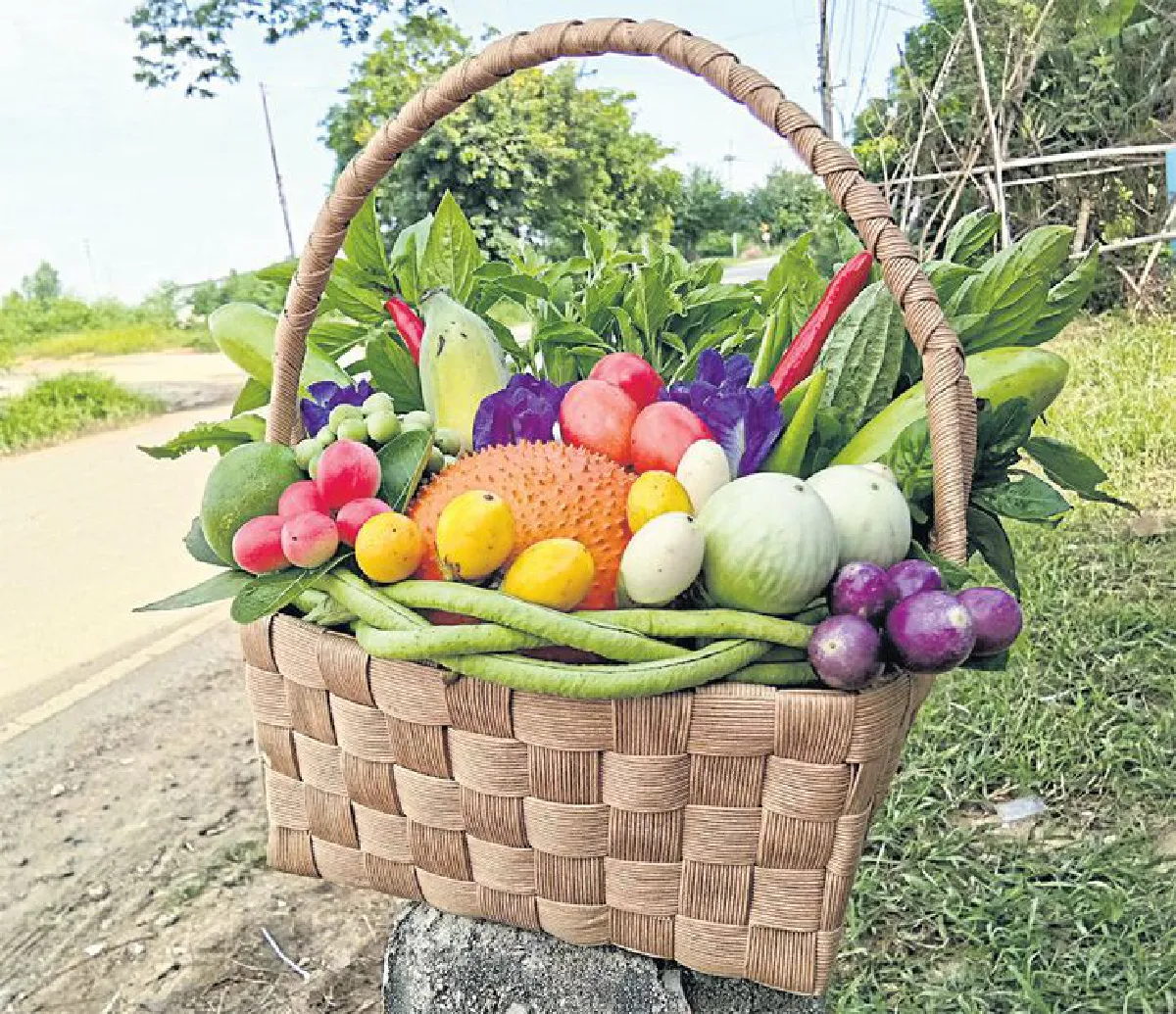 เกษตรอินทรีย์มีความหมาย มณีกาญจน์ บุญส่ง