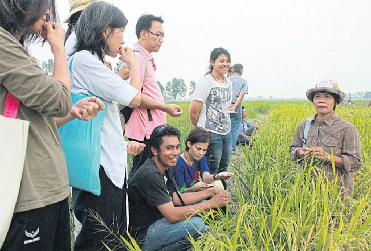 เกษตรอินทรีย์มีความหมาย มณีกาญจน์ บุญส่ง