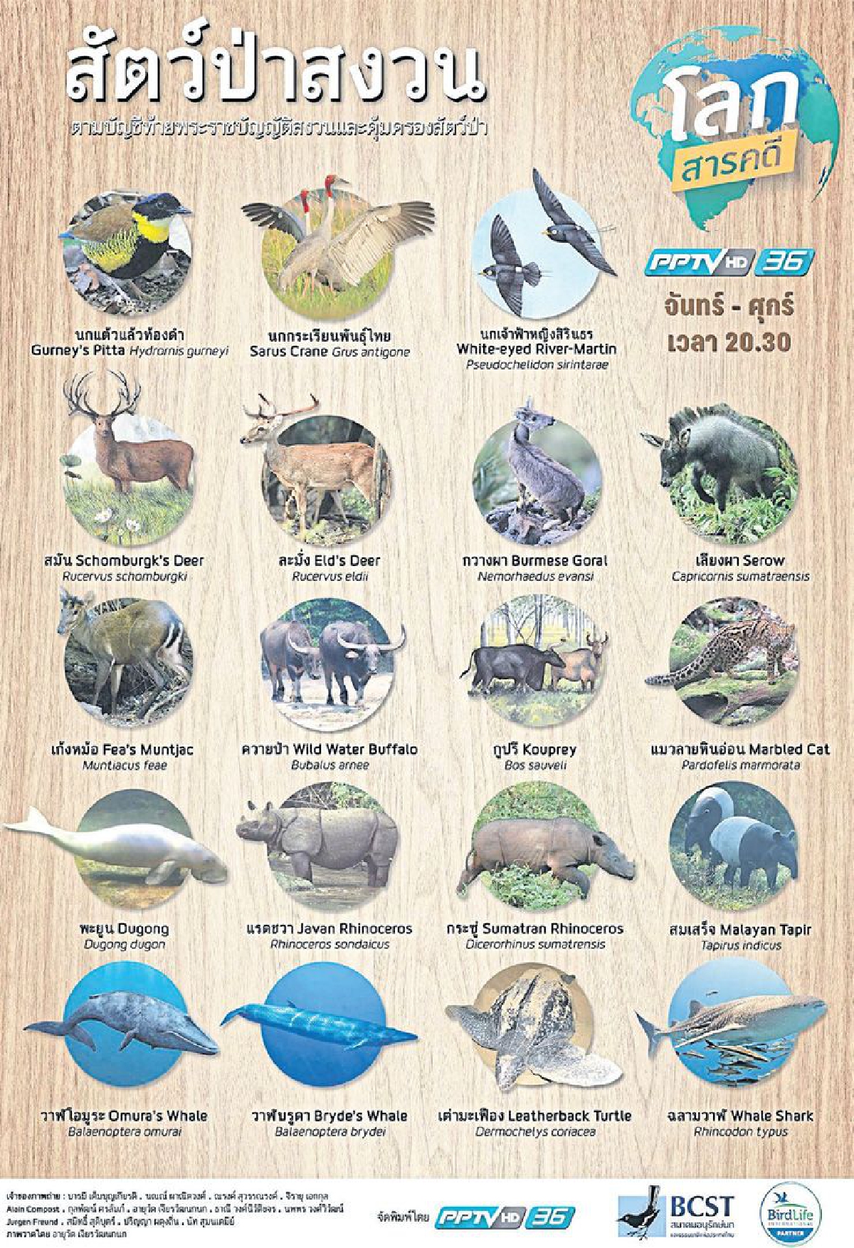 โปสเตอร์สัตว์สงวน update! โปสเตอร์สัตว์สงวน update!