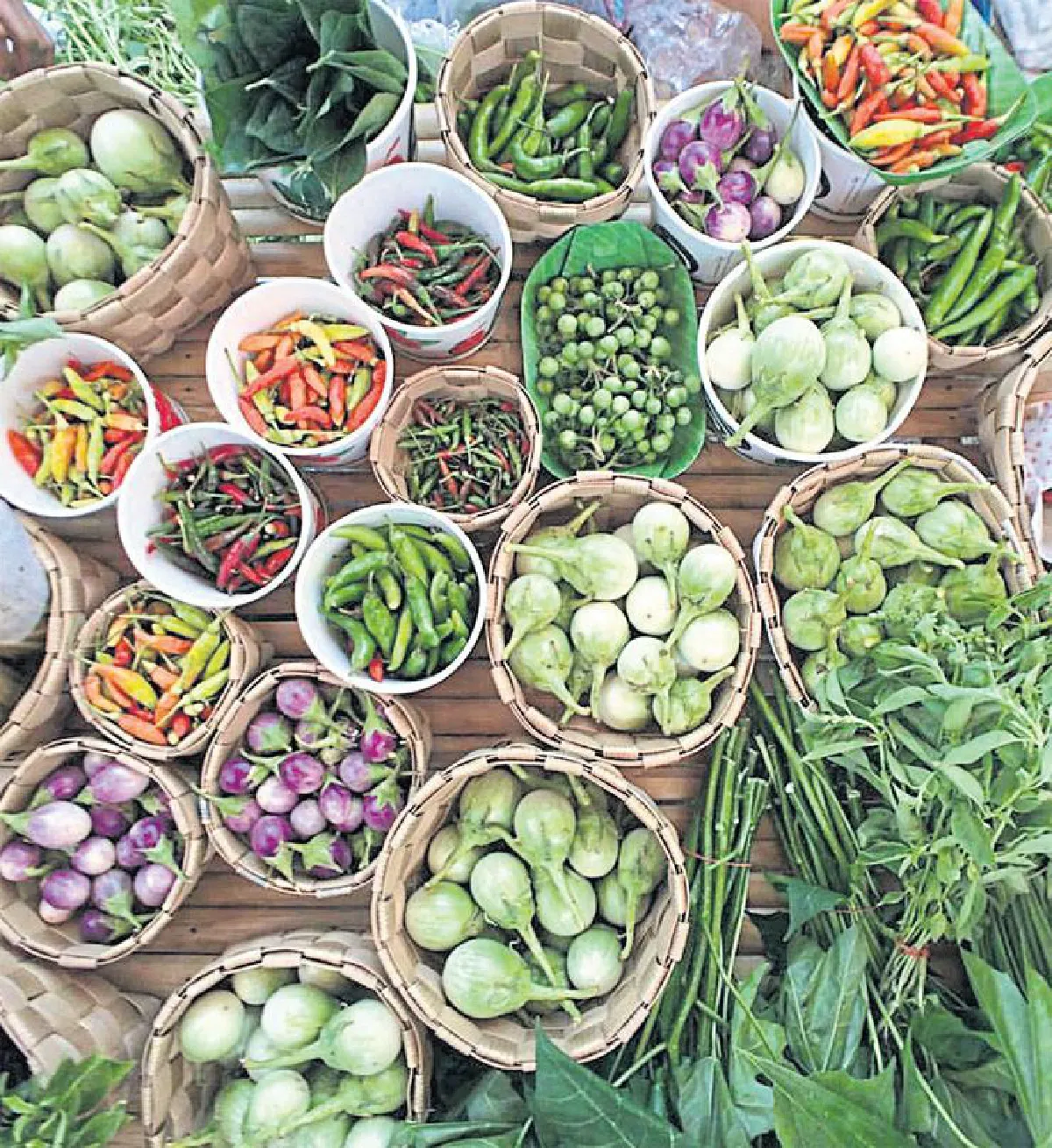 เกษตรอินทรีย์มีความหมาย มณีกาญจน์ บุญส่ง