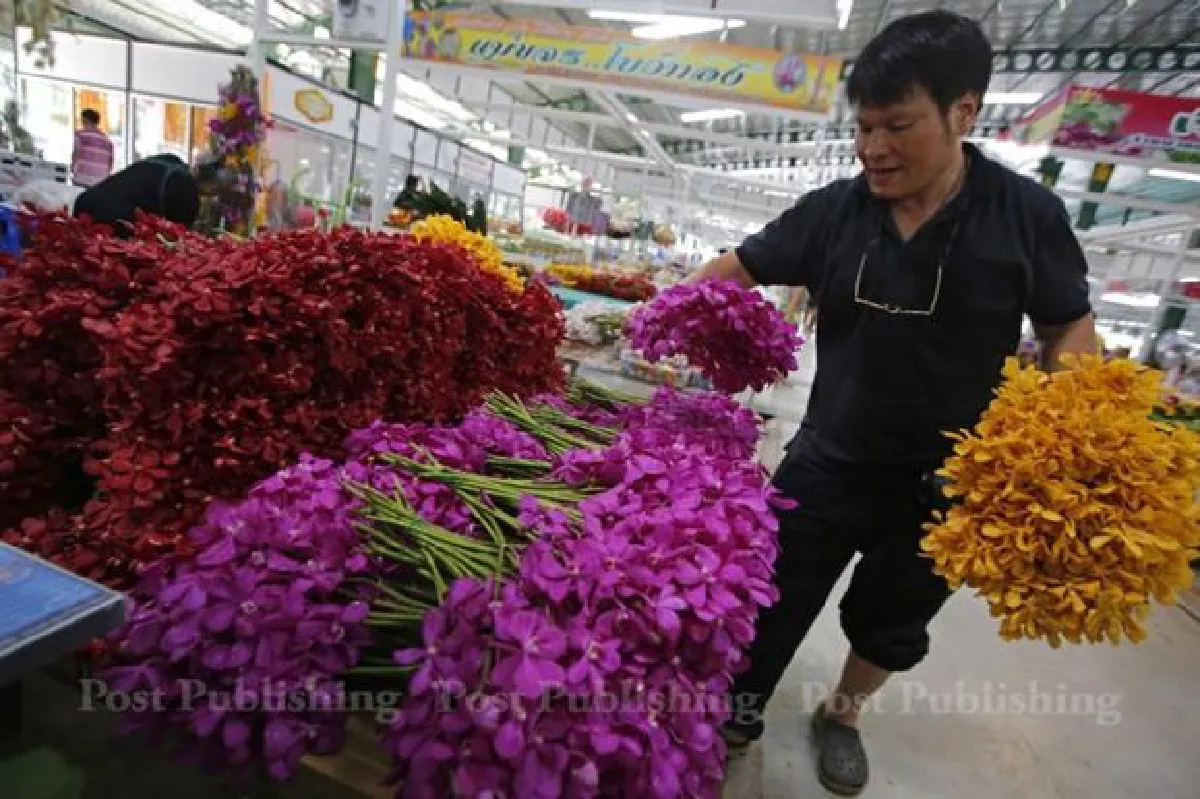 Flower market gets a fresh start
