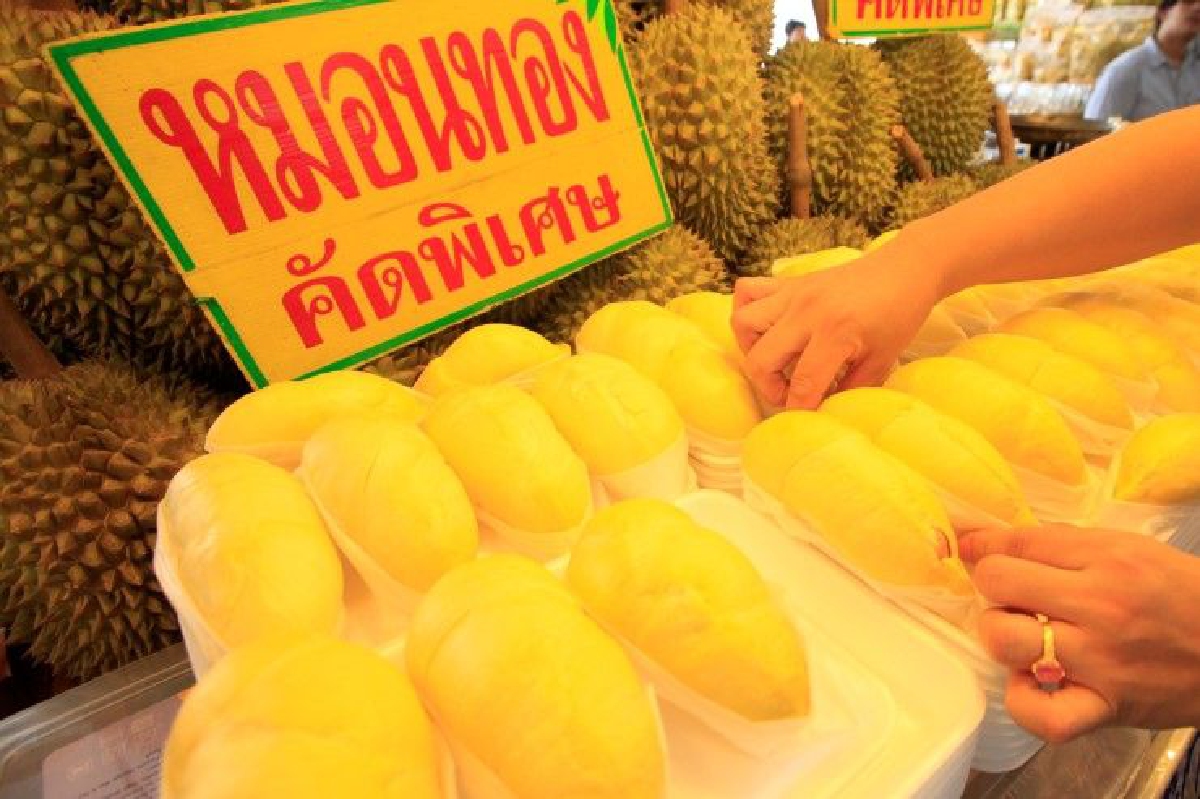 ทุเรียนแพง ทุเรียนแพง