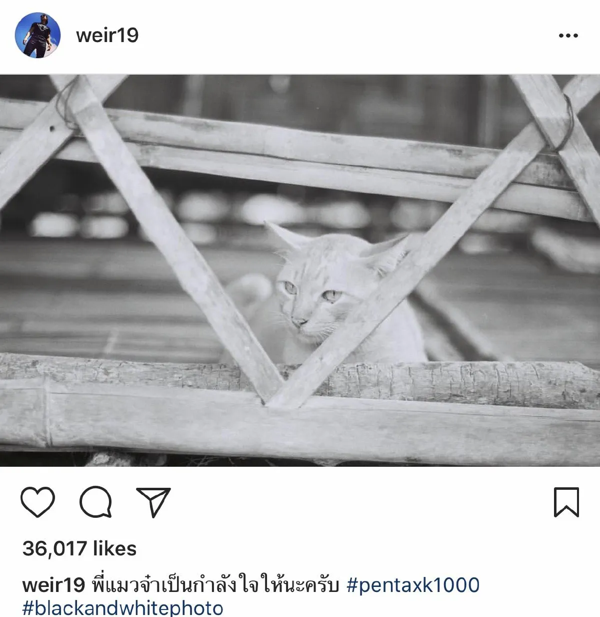 หวานห่างๆอย่างห่วงๆ! เวียร์ โพสต์แคปชั่นส่งกำลังใจให้ เบลล่า