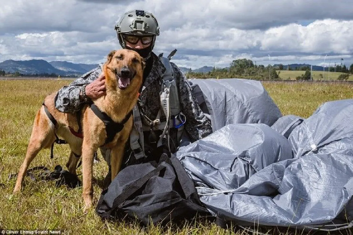 โคลัมเบียพาน้องหมาเหินฟ้าฝึกโดดร่ม