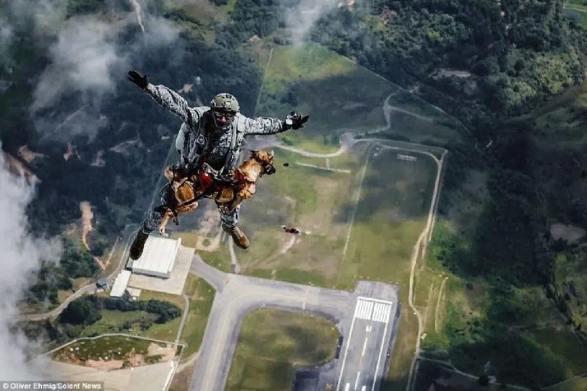 โคลัมเบียพาน้องหมาเหินฟ้าฝึกโดดร่ม