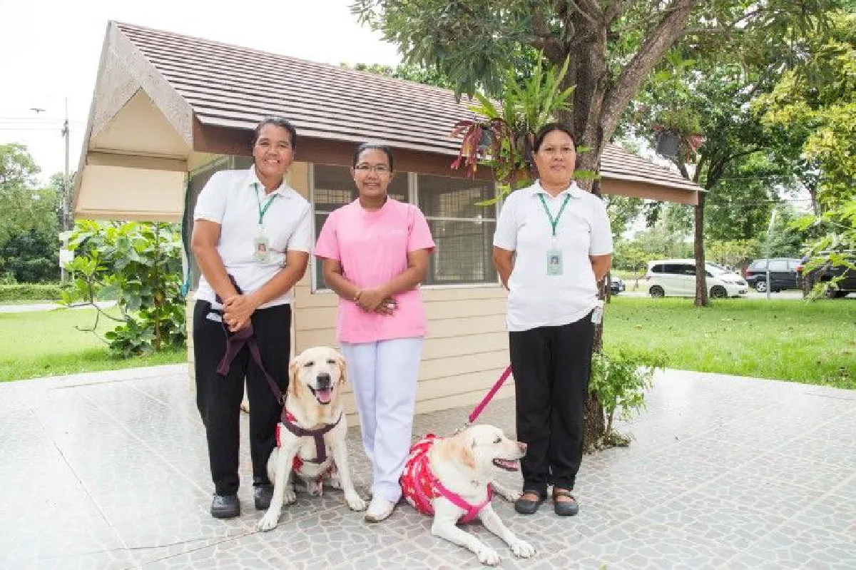 บัดดี้-ฮันนี่ "สุนัขบำบัด" ยาใจชั้นดีของผู้ป่วยมะเร็ง