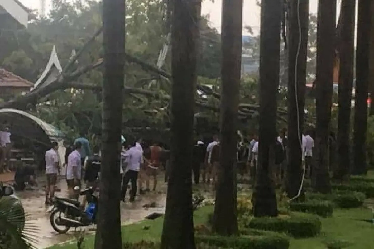 พายุถล่มโคราช ต้นไม้ใหญ่ล้มทับศาลารอรถในโรงเรียนเจ็บ8