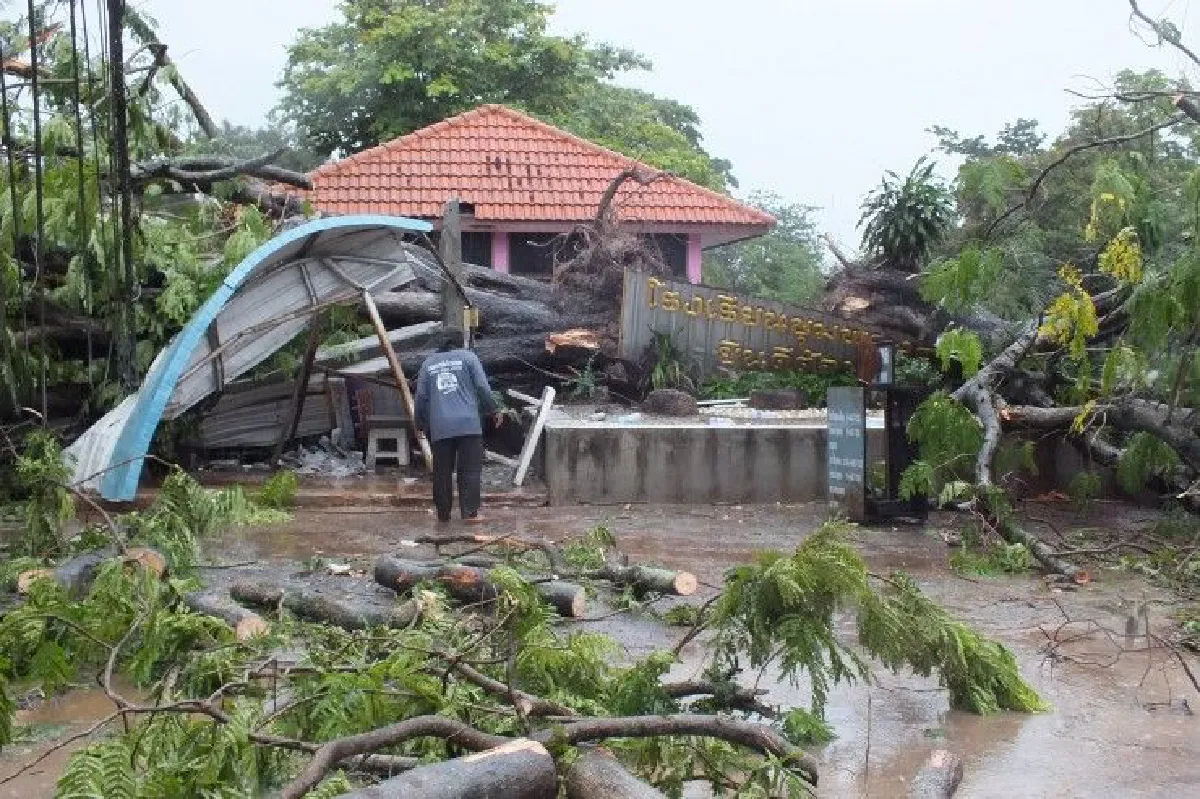 พายุถล่มโคราช ต้นไม้ใหญ่ล้มทับศาลารอรถในโรงเรียนเจ็บ8