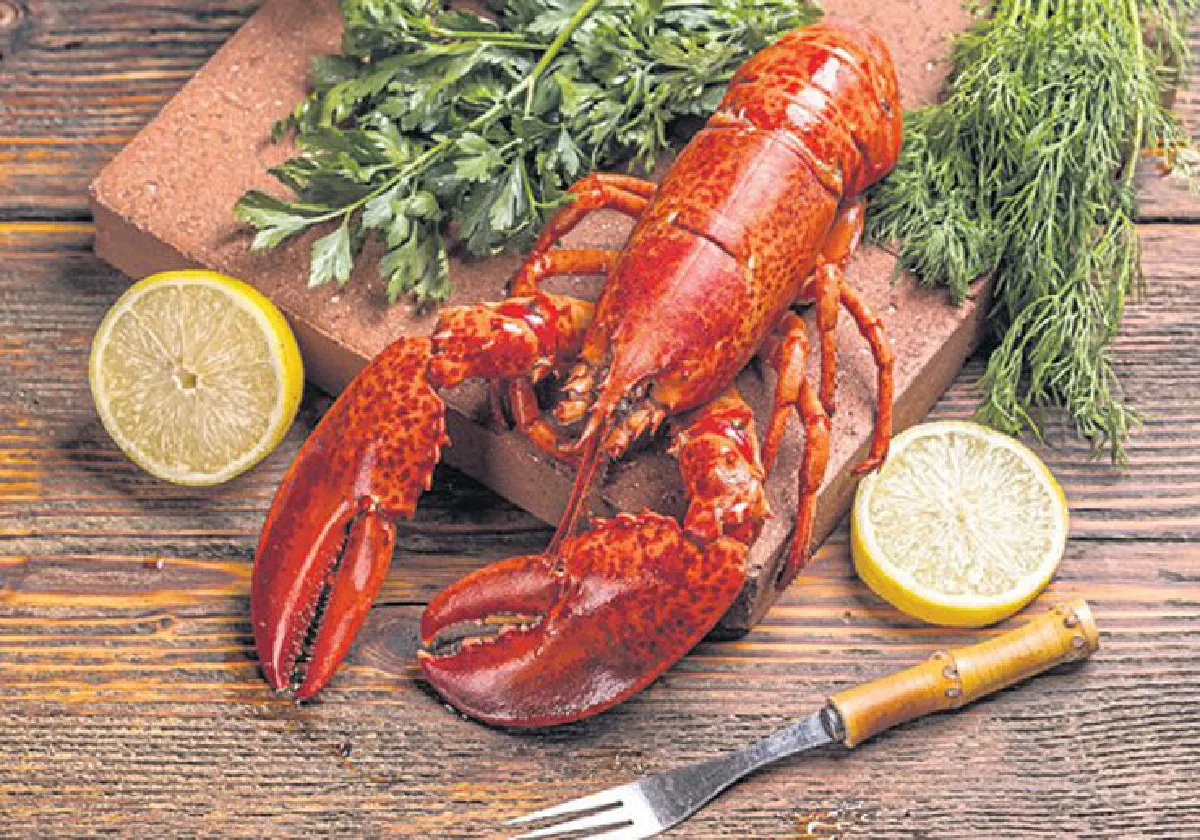 กินไหนดี