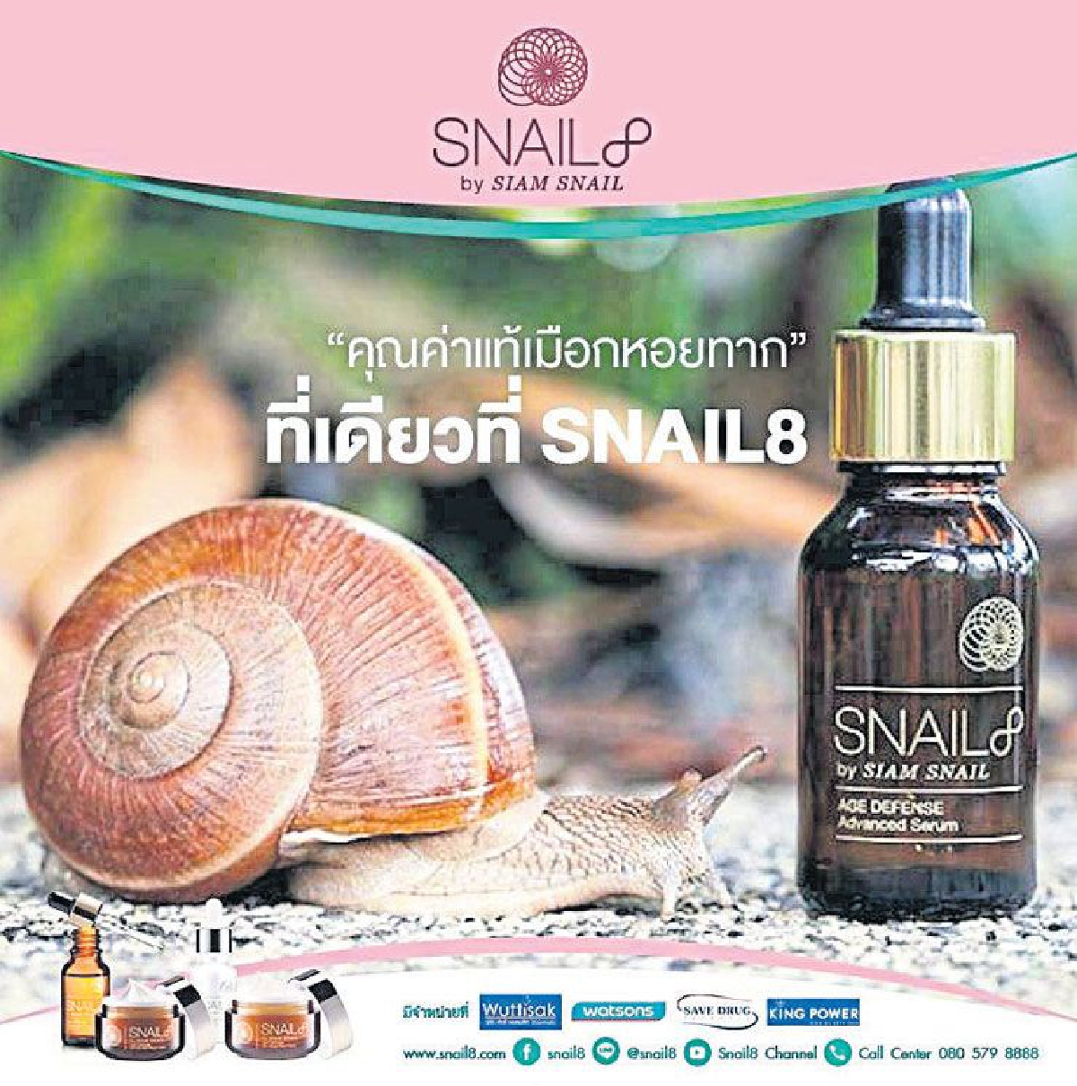 ‘สเนลเอท’ นวัตกรรมจากหอยทาก ‘สเนลเอท’ นวัตกรรมจากหอยทาก