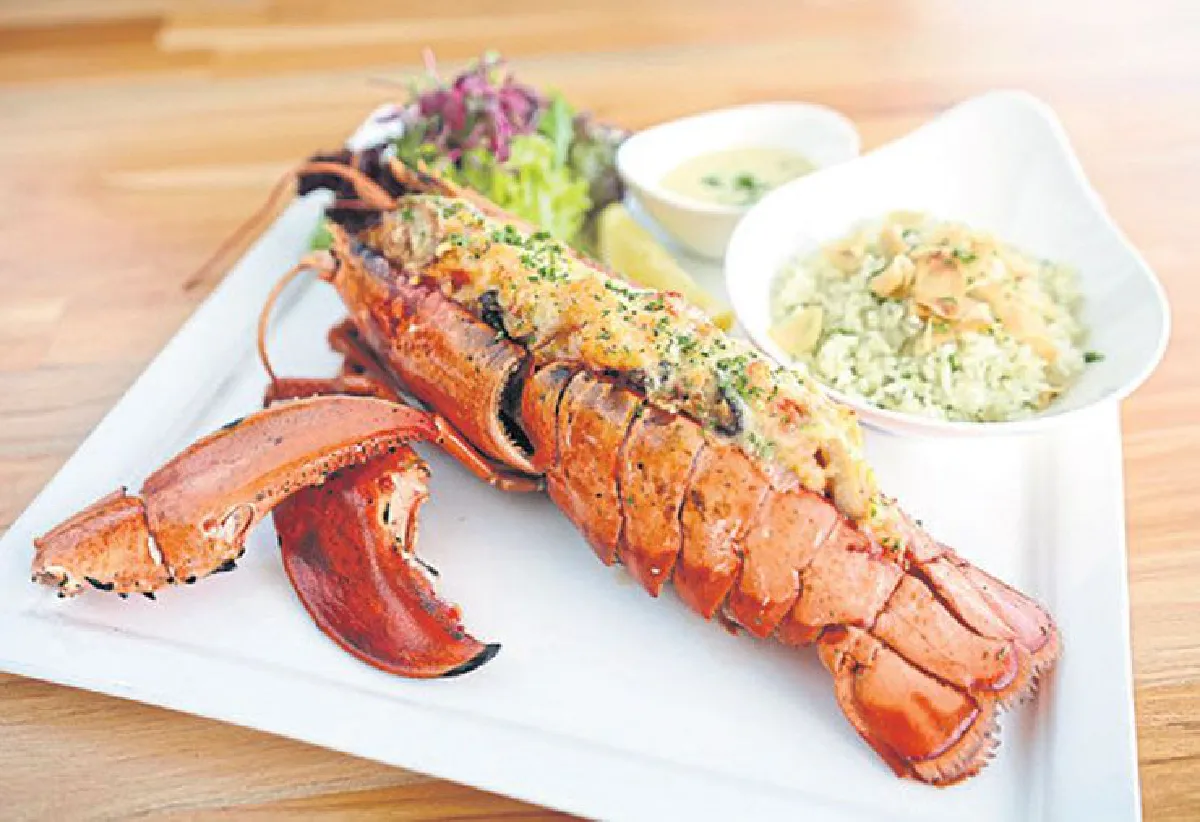 กินไหนดี