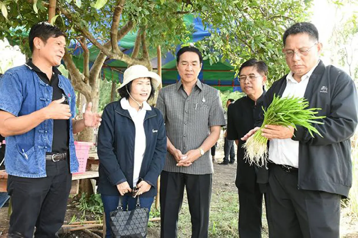 สถ. ดำเนินโครงการ "น้ำคือชีวิต : ศาสตร์พระราชาสู่แปลงเกษตรผสมผสานประชารัฐ"