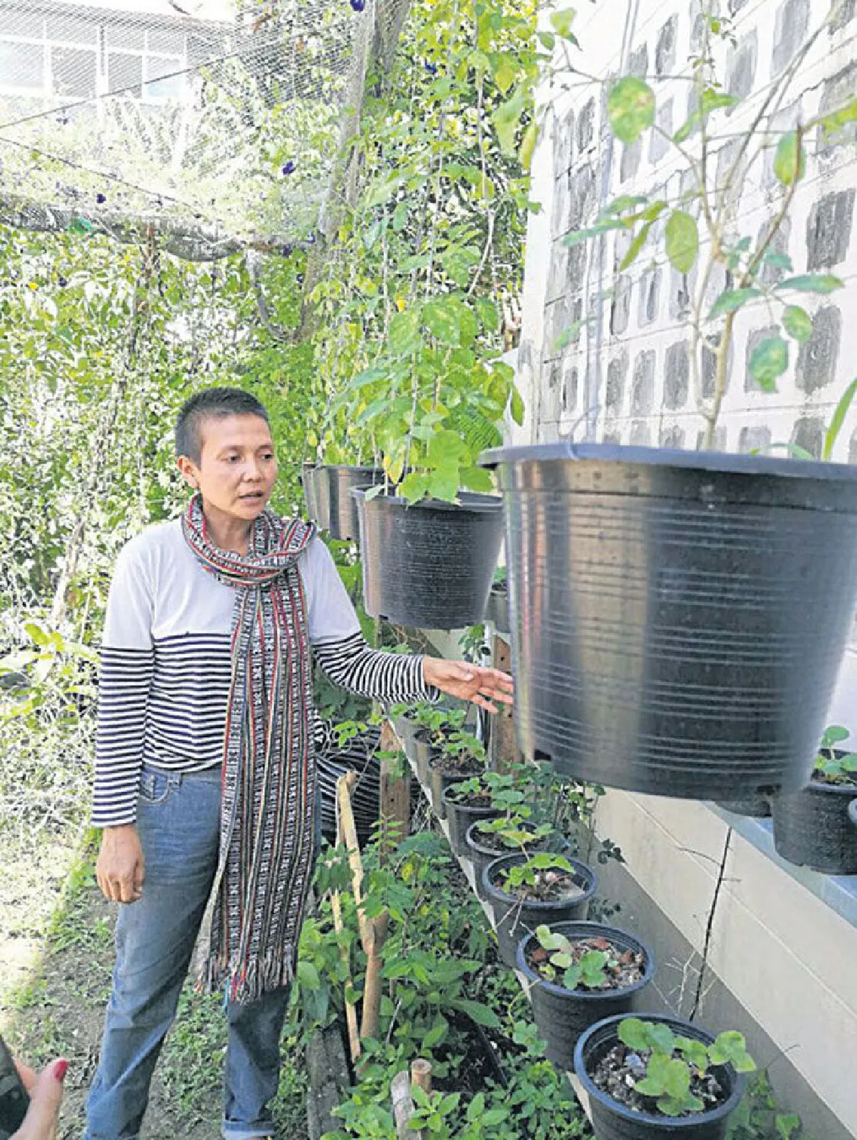 เกษตรคนเมืองบ้านภูลิตา เดินตามศาสตร์พระราชา