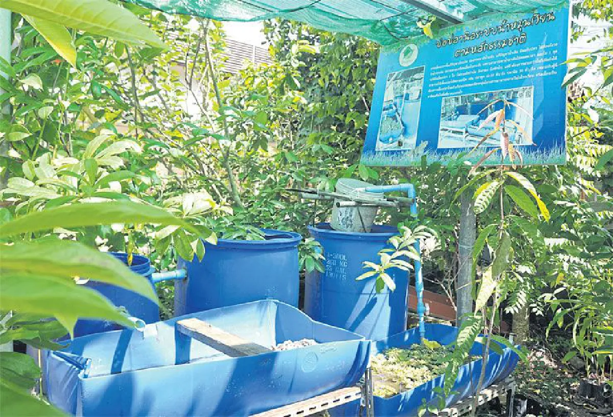 เกษตรคนเมืองบ้านภูลิตา เดินตามศาสตร์พระราชา