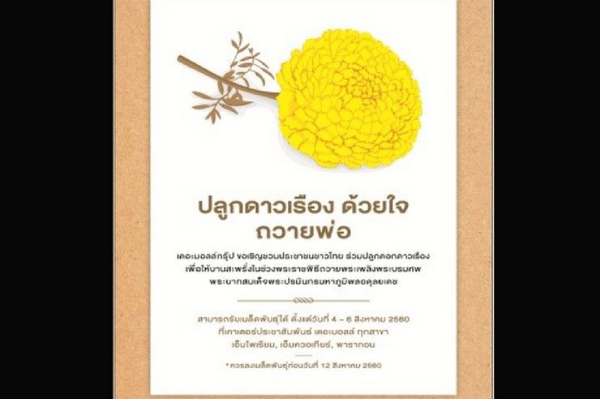 เดอะมอลล์ ชวน"ปลูกดาวเรืองด้วยใจ...ถวายพ่อ" เดอะมอลล์ ชวน"ปลูกดาวเรืองด้วยใจ...ถวายพ่อ"