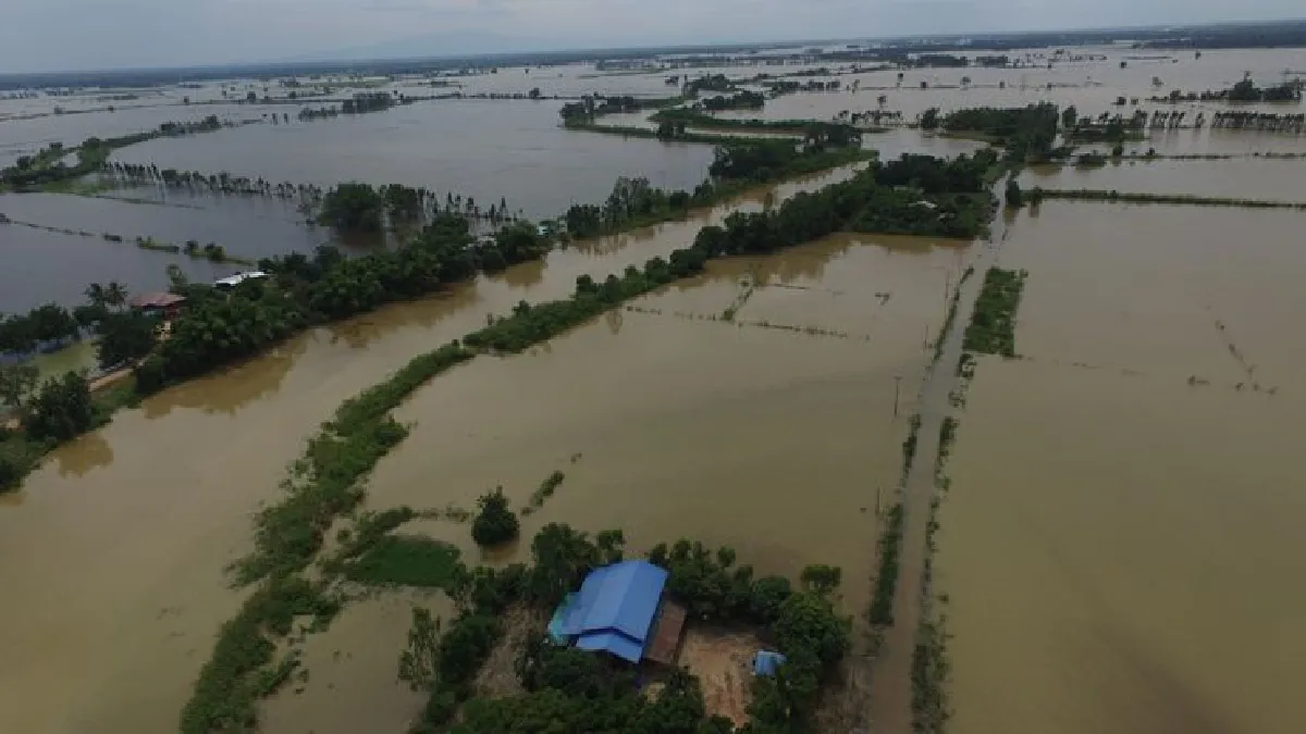 ชาวนาฮึดสู้!ทำคันดินป้องกันน้ำท่วมข้าวออกรวง