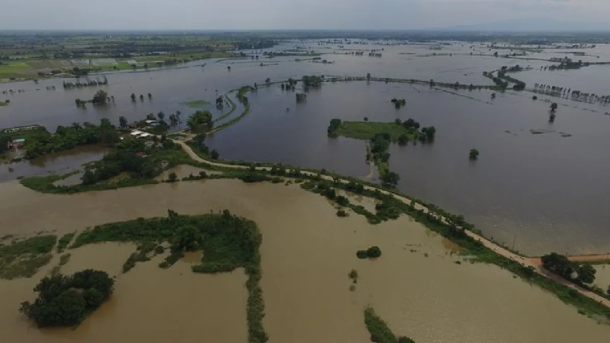 ชาวนาฮึดสู้!ทำคันดินป้องกันน้ำท่วมข้าวออกรวง