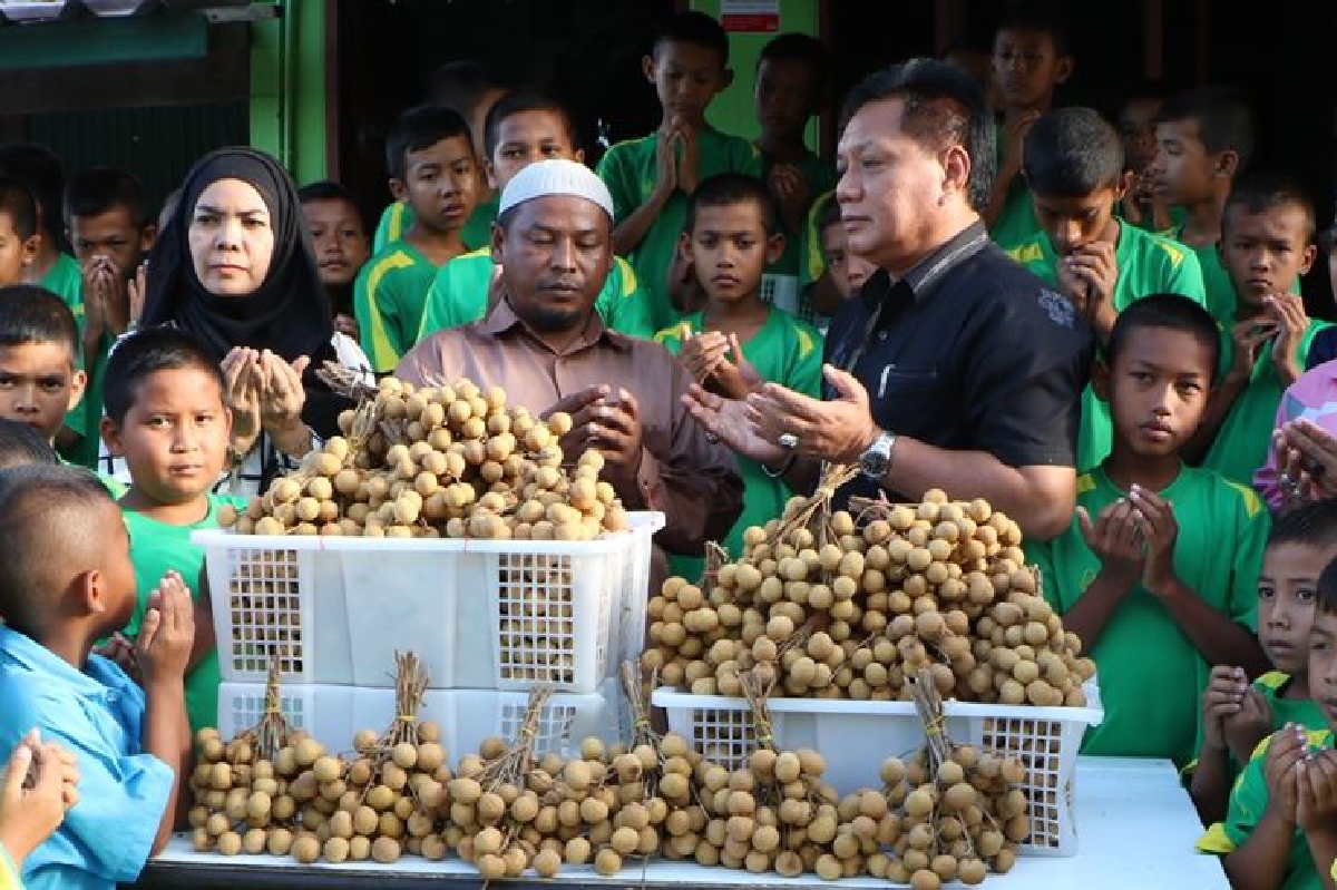 สหกรณ์นราฯนำลำใยสดสั่งจากเชียงใหม่แจกบ้านเด็กกำพร้า สหกรณ์นราฯนำลำใยสดสั่งจากเชียงใหม่แจกบ้านเด็กกำพร้า