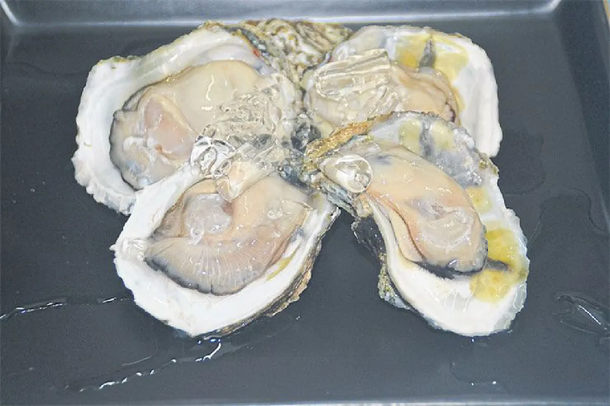 หอยสเตชั่นภูเก็ต สด สะอาด น้ำจิ้มรสแซ่บ