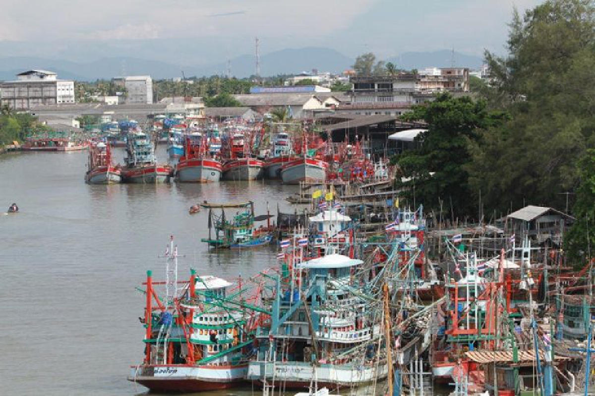 ดันท่าเรือปัตตานี ศูนย์กลางโลจิสติกส์เชื่อมอุตสาหกรรม ดันท่าเรือปัตตานี ศูนย์กลางโลจิสติกส์เชื่อมอุตสาหกรรม