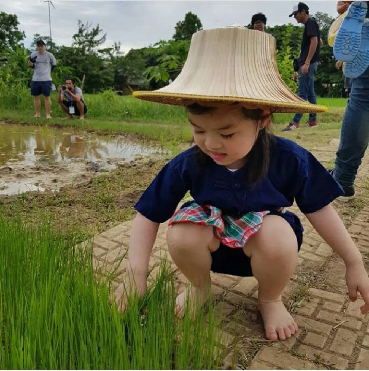 ตั๊ก บริบูรณ์ พา น้องบีลีฟ ดำนาสอนให้รู้จักคุณค่าของข้าว