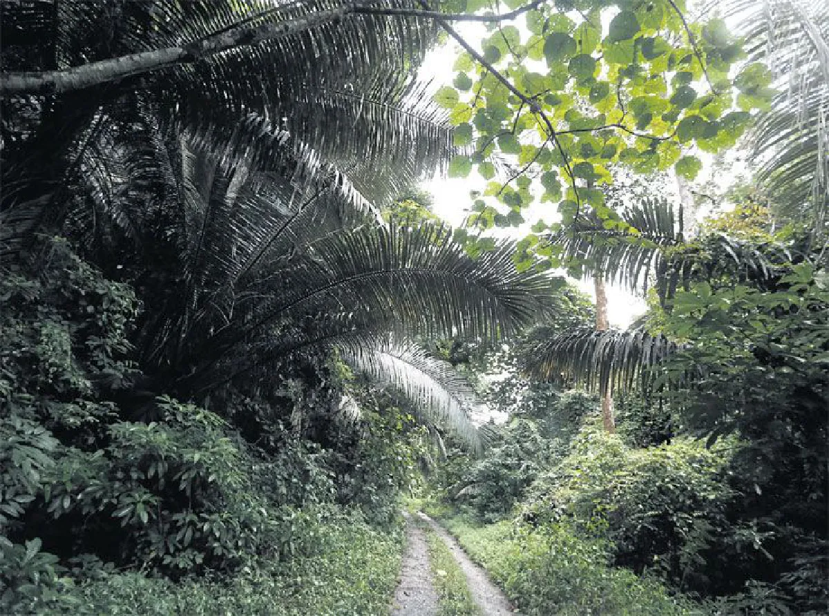 ขับโฟร์วีลฝ่าความมืด หลุดยุคสู่อุโมงค์เหมืองแร่