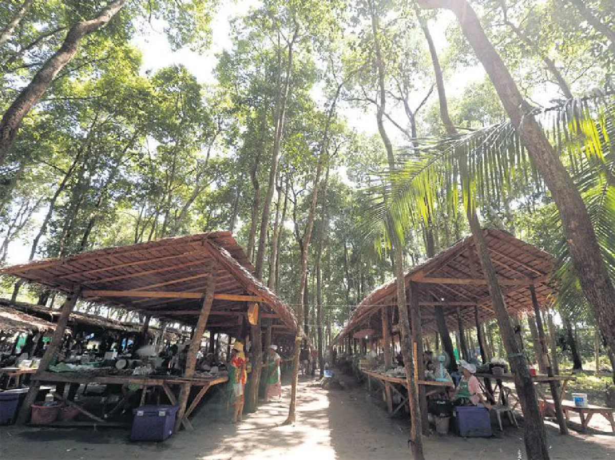 หลาดใต้เคี่ยม ตลาดนัดวิถีพอเพียงจากชุมพร