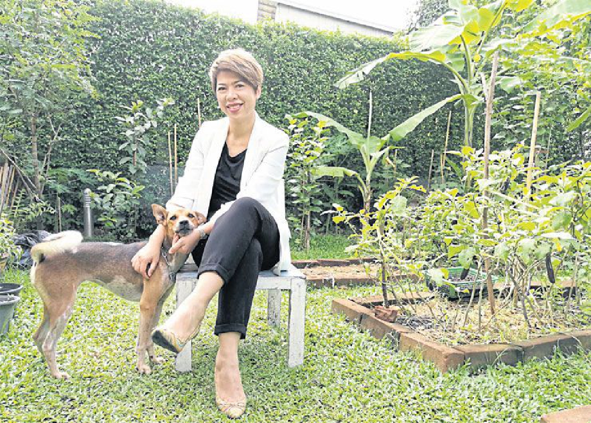 ปลูกผักออร์แกนิกช่วยดึงชีวิต วัชรี ศิริเวชวิวัฒน์ ให้ช้าลง ปลูกผักออร์แกนิกช่วยดึงชีวิต วัชรี ศิริเวชวิวัฒน์ ให้ช้าลง