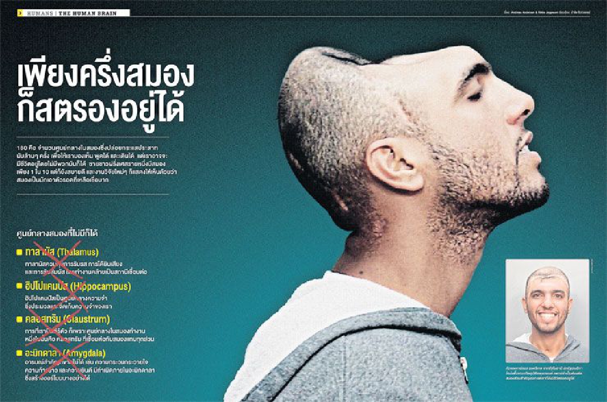 เพียงครึ่งสมอง ก็สตรองอยู่ได้ เพียงครึ่งสมอง ก็สตรองอยู่ได้